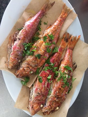 Glossitses Restaurant signature dishes Keftedakia "Albodigas"
Tuna Fish Carpaccio
Fried Red Mullet